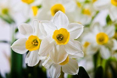 欧盟规定手持设备需配备可拆卸电池 Switch、Steam Deck等掌机或受影响